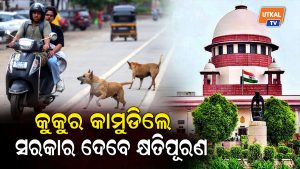 କୁକୁର କାମୁଡ଼ିଲେ ସରକାର ଦେବେ କ୍ଷତି ପୂରଣ